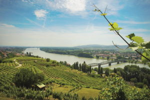 Bildnachweis: Niederösterreich-Werbung/Rita Newman