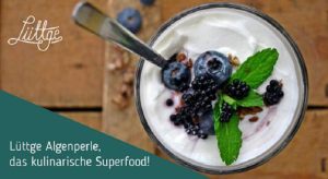 Lüttge Algenperle mit der Alge Chlorella auf Startnext