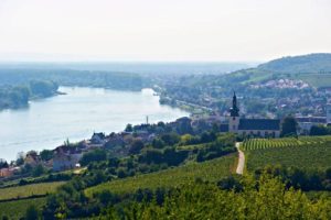 Rheinhessen e.V. / dieth & schröder fotografie, St. Johann