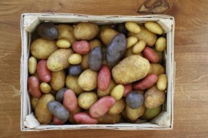 Von mehlig bis fest: die unterschiedlichen Kochtypen