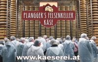 KÄSEREI PLANGGER