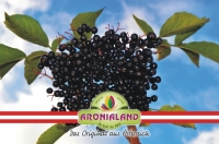 Aroniabeeren