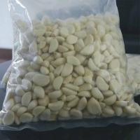 Foto © Sastre Holding UG