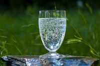 Bioverfügbarkeit von Mineralwasser