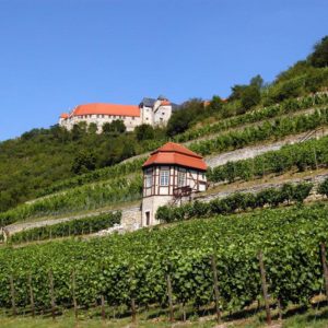 Schloss Neuenburg