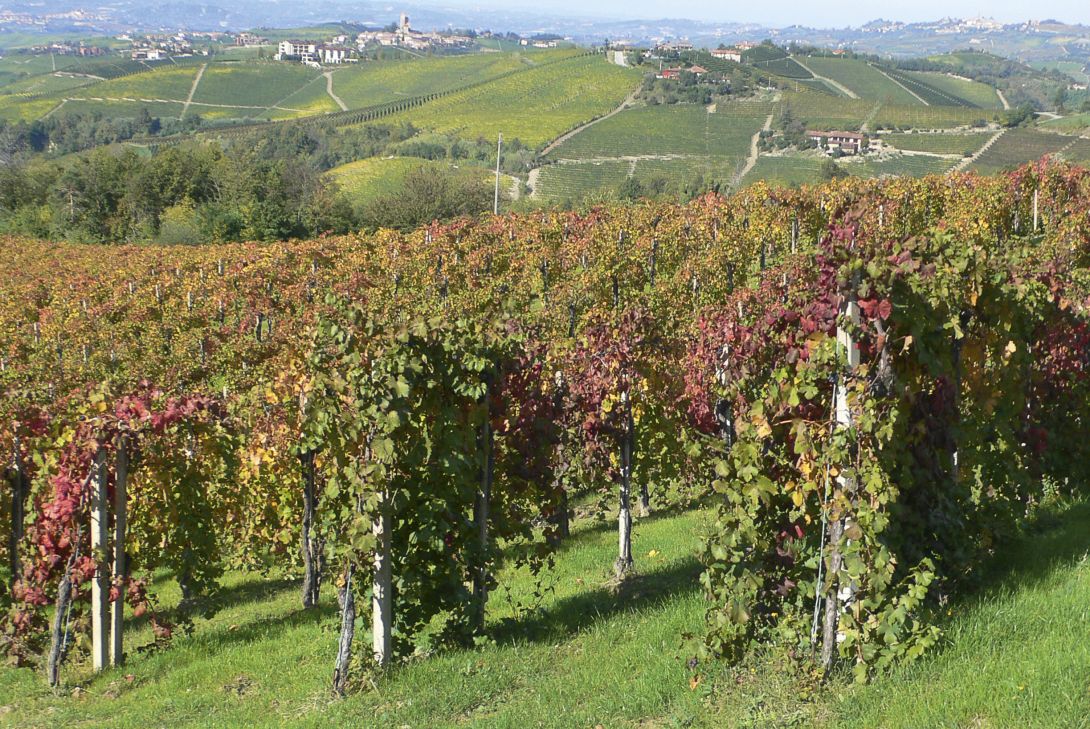 OLIMAR präsentiert kulinarische Genussreisen