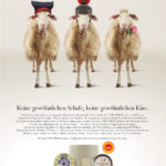 Key-Visual 3 Pecorini