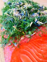 Graved (gebeizte) Lachsforellen