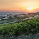 Tenuta di Trinoro 2017