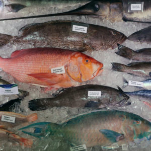 Grüne Woche 2020: Hohe Wertschätzung für Fisch und Meeresfrüchte