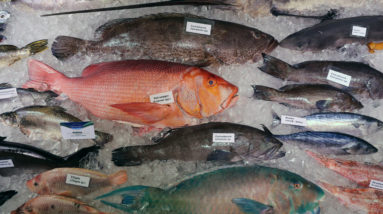 Grüne Woche 2020: Hohe Wertschätzung für Fisch und Meeresfrüchte