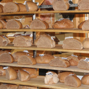 Brot-Aroma: Moderne und alte Weizensorten schmecken gleich gut
