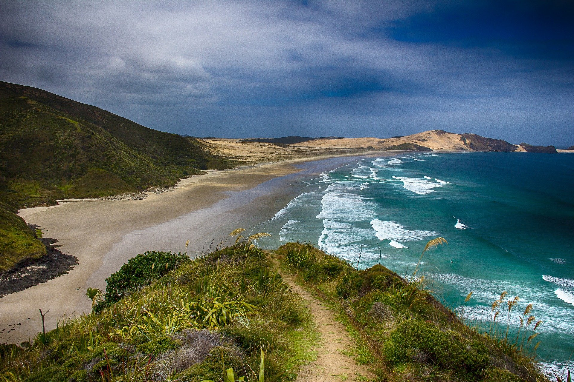 Wein aus Neuseeland