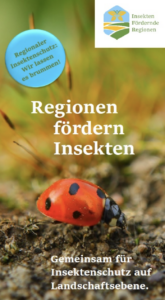 Regionen-foerdern-Insekten-Weingut-Hafner