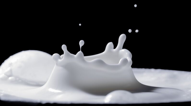 Milchzentrifuge für hausgemachten Käse